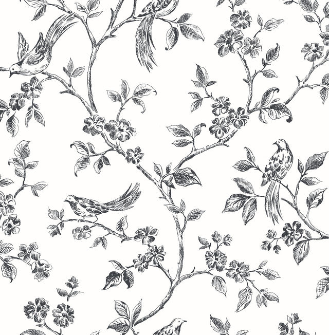 Advantage Ophelia Black Bird Trail Wallpaper