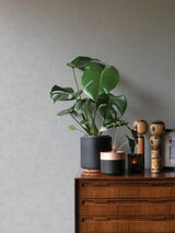 Advantage Ryu Light Grey Cement Texture Wallpaper