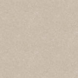 Advantage Rini Beige Distressed Wallpaper