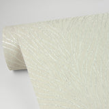 Advantage Tomo Cream Abstract Wallpaper