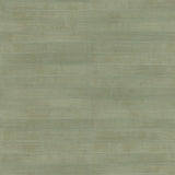 Advantage Dermot Light Green Horizontal Stripe Wallpaper