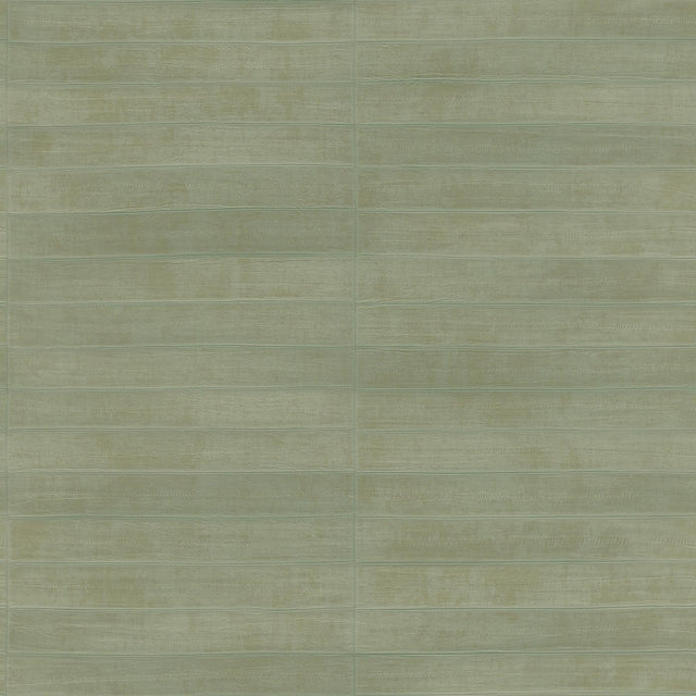 Advantage Dermot Light Green Horizontal Stripe Wallpaper