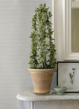 Advantage Estefan Off-White Distressed Texture Wallpaper