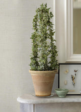 Advantage Ayala Off-White Distressed Wallpaper