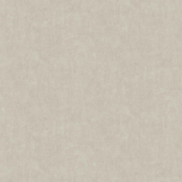 Advantage Riomar Taupe Distressed Texture Wallpaper