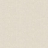 Advantage Riomar Off-White Distressed Texture Wallpaper