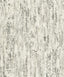 Advantage Colm Charcoal Birch Wallpaper