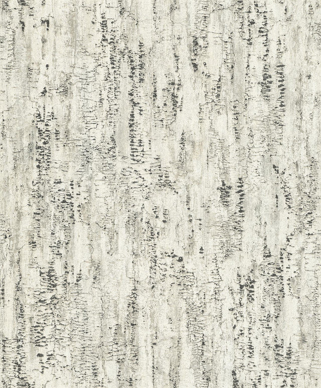 Advantage Colm Charcoal Birch Wallpaper