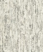Advantage Colm Charcoal Birch Wallpaper