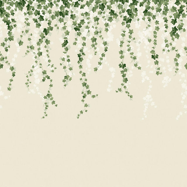 Advantage Trailing Ivy Green Wall Mural