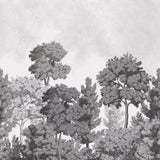 Advantage Delamere Mono Wall Mural