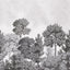 Advantage Delamere Mono Wall Mural