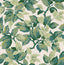 Advantage Canopy Green Leaf Wallpaper