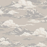 Advantage Cumulus Neutral Clouds Wallpaper