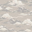Advantage Cumulus Neutral Clouds Wallpaper