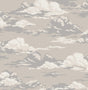Advantage Cumulus Neutral Clouds Wallpaper