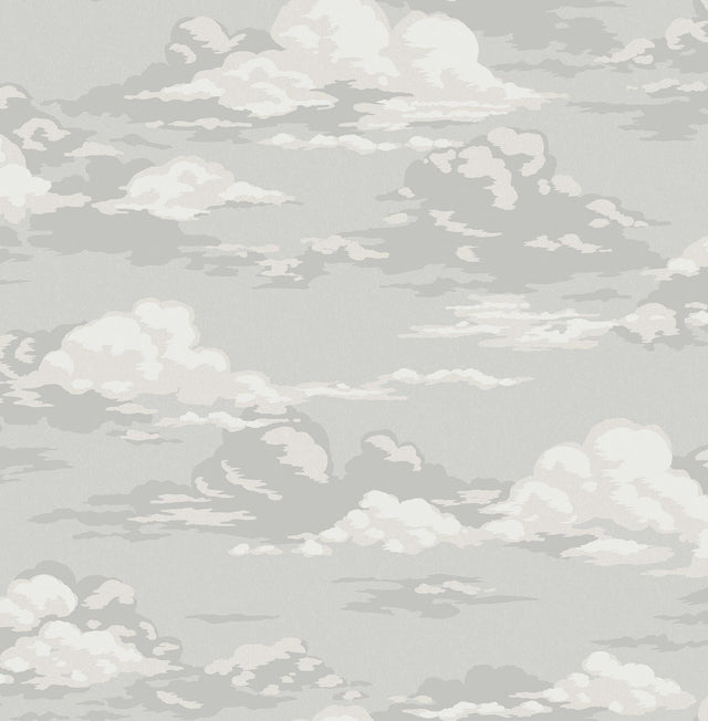 Advantage Cumulus Grey Clouds Wallpaper