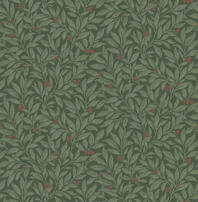 Advantage Winter Berry Evergreen Vine Wallpaper