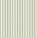 Advantage Ticking Light Green Stripe Wallpaper
