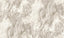Advantage Star Taupe Marble Wallpaper