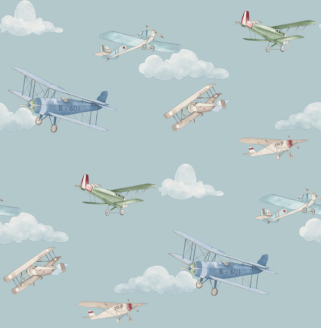 Advantage Aeroplanes Blue Skies Wallpaper