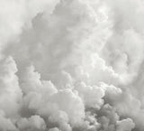 A-Street Prints In the Clouds Dove Grey Wall Mural
