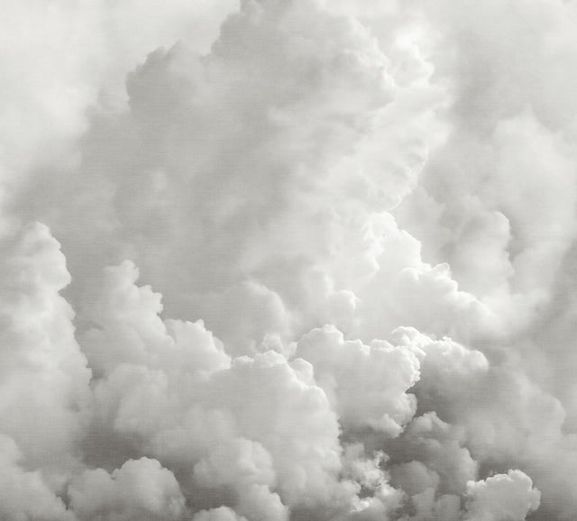 A-Street Prints In the Clouds Dove Grey Wall Mural