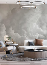 A-Street Prints In the Clouds Dove Grey Wall Mural