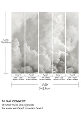 A-Street Prints In the Clouds Dove Grey Wall Mural