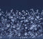 A-Street Prints Twilight Chinoiserie Midnight Blue Wall Mural