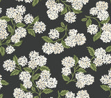 Rifle Paper Co. Hydrangea Black & White Peel & Stick Wallpaper