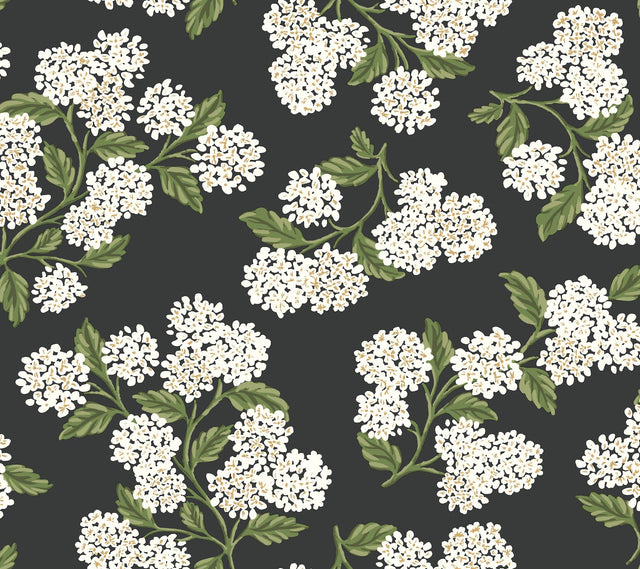 Rifle Paper Co. Hydrangea Black & White Peel & Stick Wallpaper