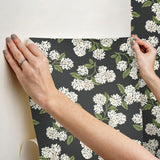 Rifle Paper Co. Hydrangea Black & White Peel & Stick Wallpaper