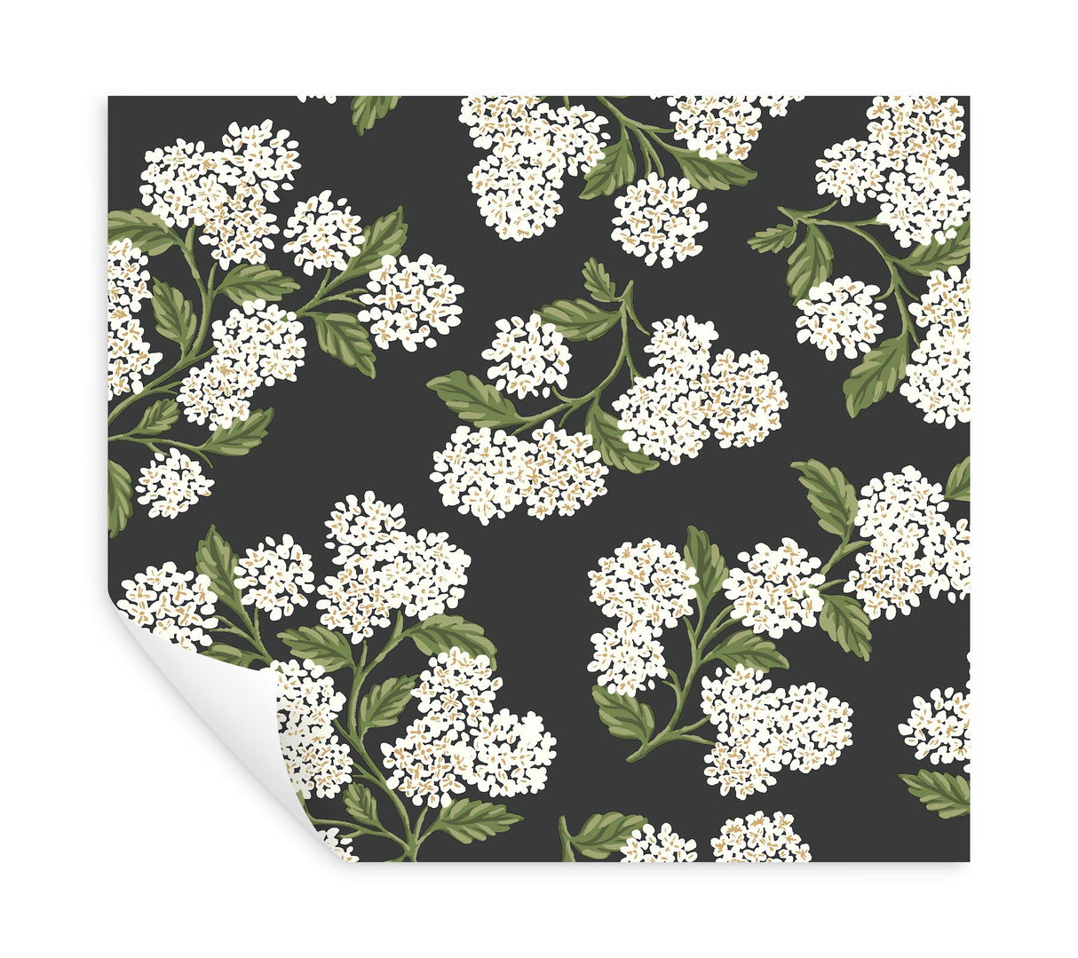 Rifle Paper Co. Hydrangea Black & White Peel & Stick Wallpaper