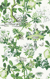 York Verdance Shantung Garden Scalamandre Self Adhesive Wallpaper