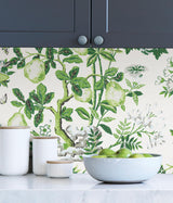 York Verdance Shantung Garden Scalamandre Self Adhesive Wallpaper