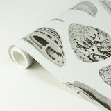 York Graphite Coquina Scalamandre Self Adhesive Wallpaper