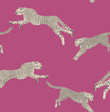 York Bubblegum Leaping Cheetah Peel & Stick Wallpaper
