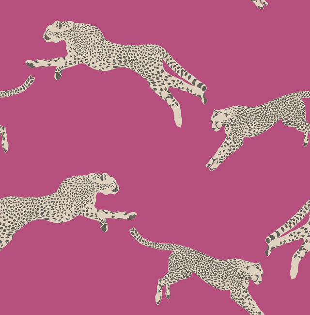 York Bubblegum Leaping Cheetah Peel & Stick Wallpaper