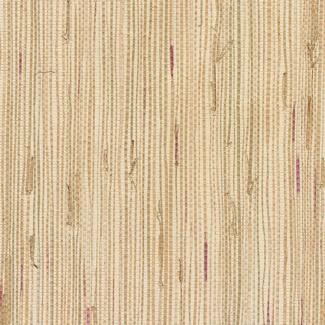 York Andrei Olive Grasscloth Wallpaper