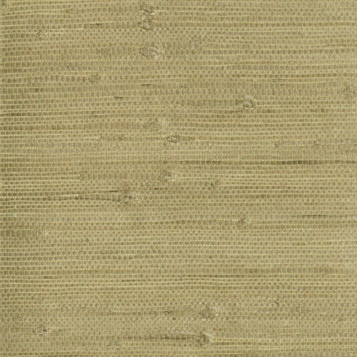 York Heisoku Celery Paper Weave Wallpaper