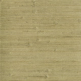 York Heisoku Celery Paper Weave Wallpaper