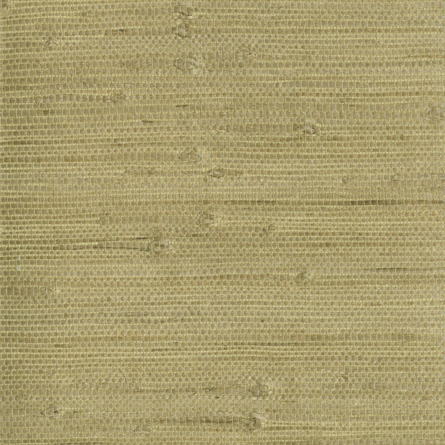 York Heisoku Celery Paper Weave Wallpaper
