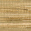 York Zoho Neutral Foil Grass Wallpaper