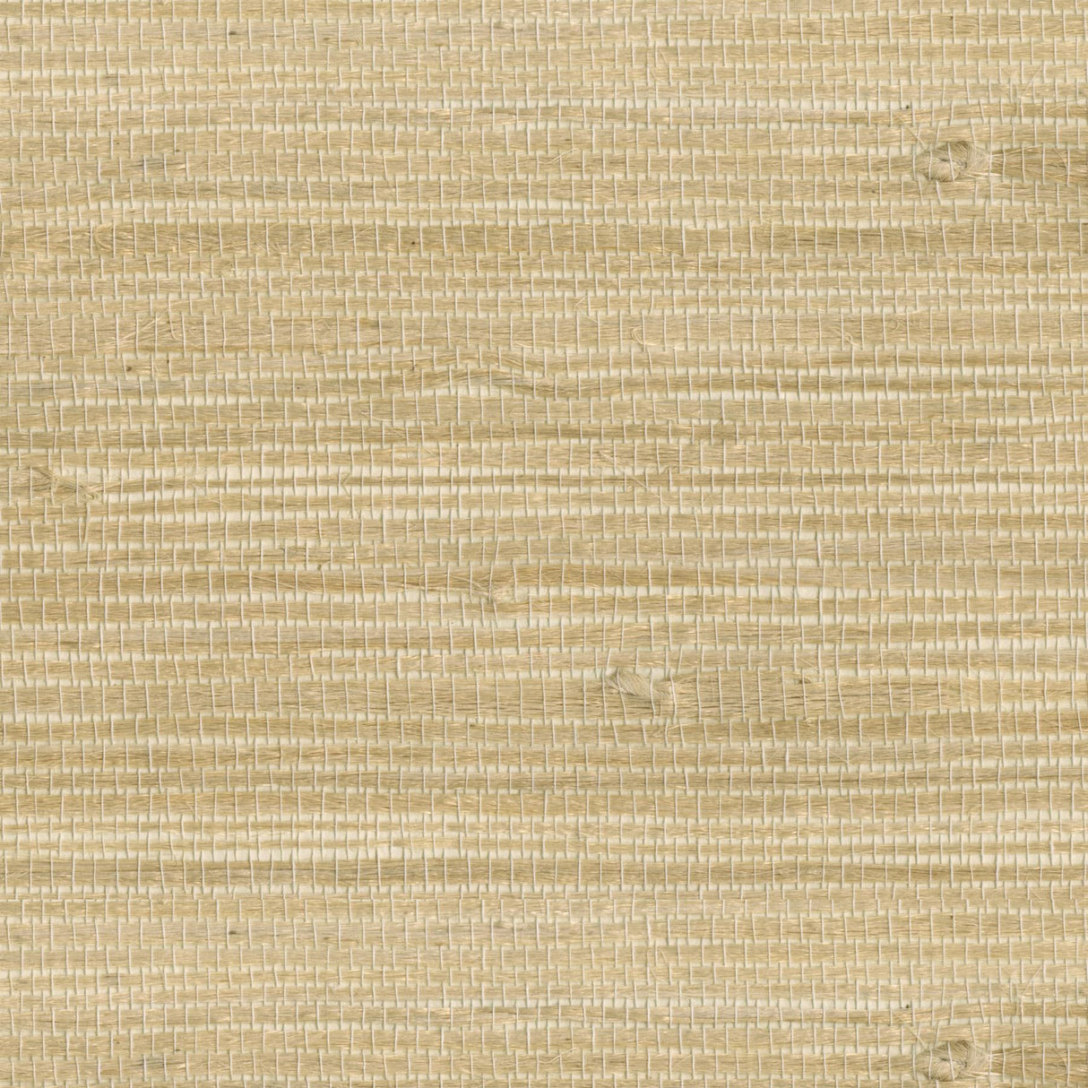 York Myoki Wheat Grasscloth Wallpaper