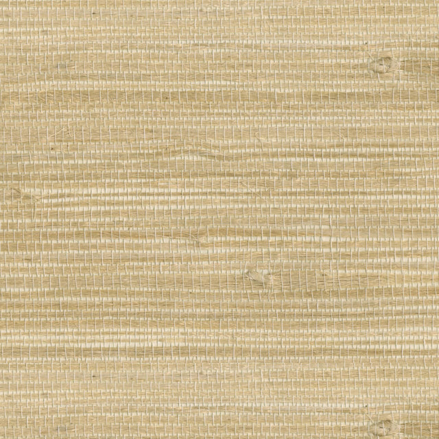 York Myoki Wheat Grasscloth Wallpaper