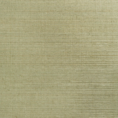 York Mutei Sage Grasscloth Wallpaper