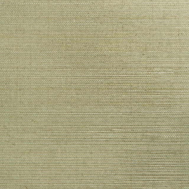 York Mutei Sage Grasscloth Wallpaper