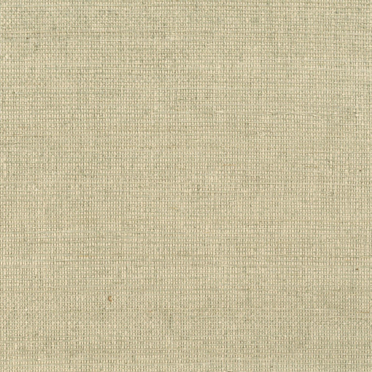 York Onko Sage Sisal Grasscloth Wallpaper