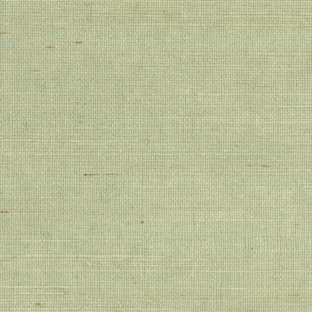York Popun Light Green Sisal Grasscloth Wallpaper